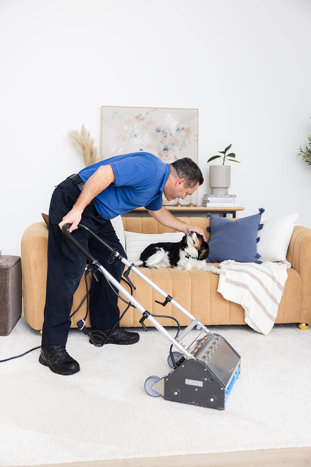 CarpetDetective-2.15.24-118